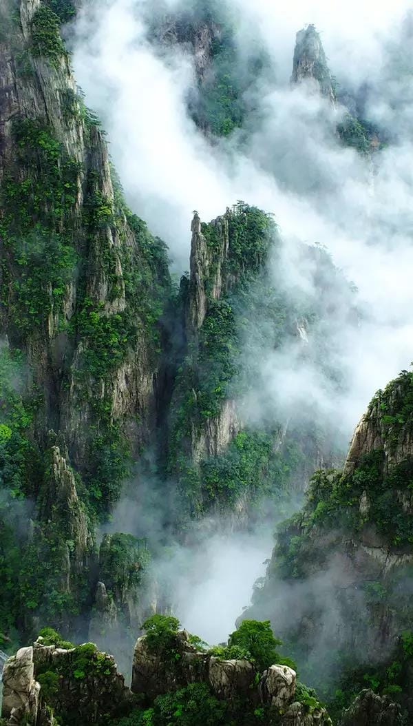 黃山又一次震驚全國！恍如人間仙境，美到極致！