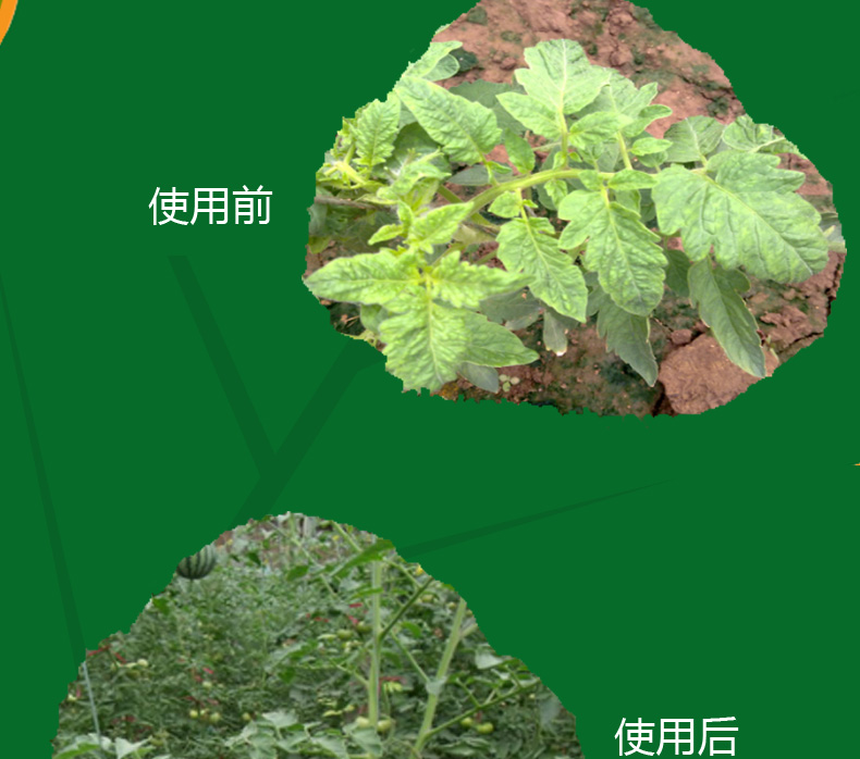 氯氟聯(lián)苯吡菌胺如何實(shí)現(xiàn)我國(guó)首家登記？