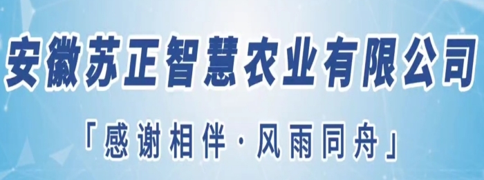 守望初心勇?lián)?dāng)，篤定前行綻芳華